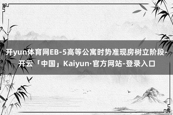 开yun体育网EB-5高等公寓时势准现房树立阶段-开云「中国」Kaiyun·官方网站-登录入口