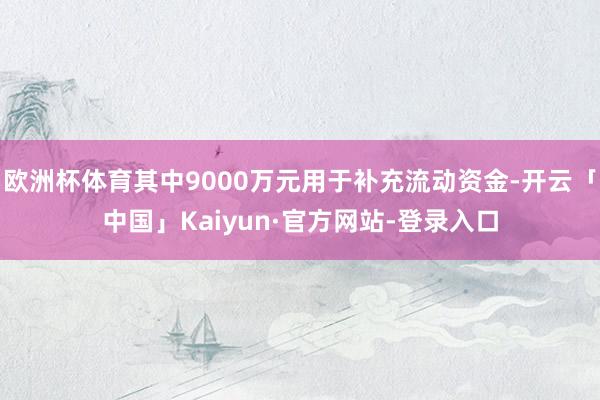 欧洲杯体育其中9000万元用于补充流动资金-开云「中国」Kaiyun·官方网站-登录入口