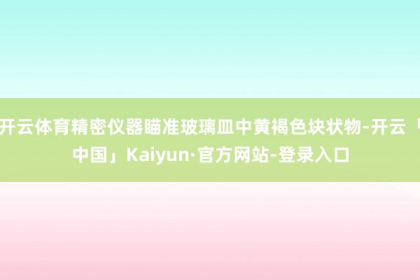 开云体育精密仪器瞄准玻璃皿中黄褐色块状物-开云「中国」Kaiyun·官方网站-登录入口