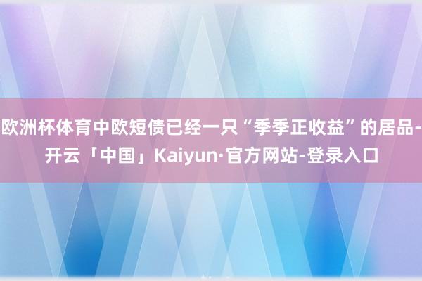 欧洲杯体育中欧短债已经一只“季季正收益”的居品-开云「中国」Kaiyun·官方网站-登录入口