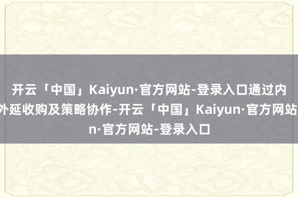 开云「中国」Kaiyun·官方网站-登录入口通过内生增长、外延收购及策略协作-开云「中国」Kaiyun·官方网站-登录入口