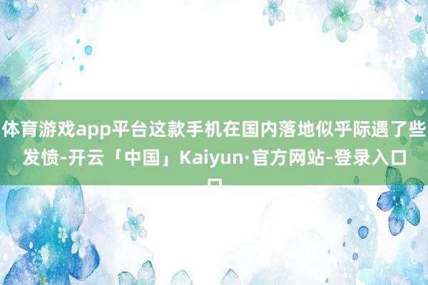体育游戏app平台这款手机在国内落地似乎际遇了些发愤-开云「中国」Kaiyun·官方网站-登录入口